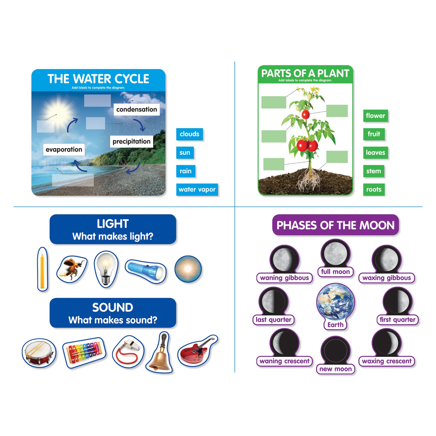 Early Science Concepts Bulletin Board Set - A1 School Supplies