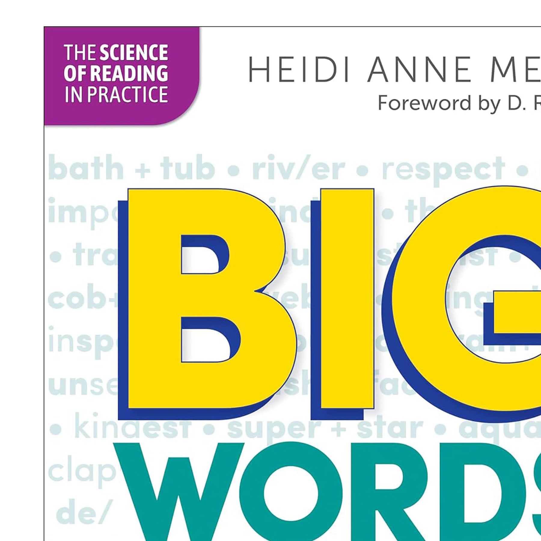 Big Words for Young Readers Professional Book