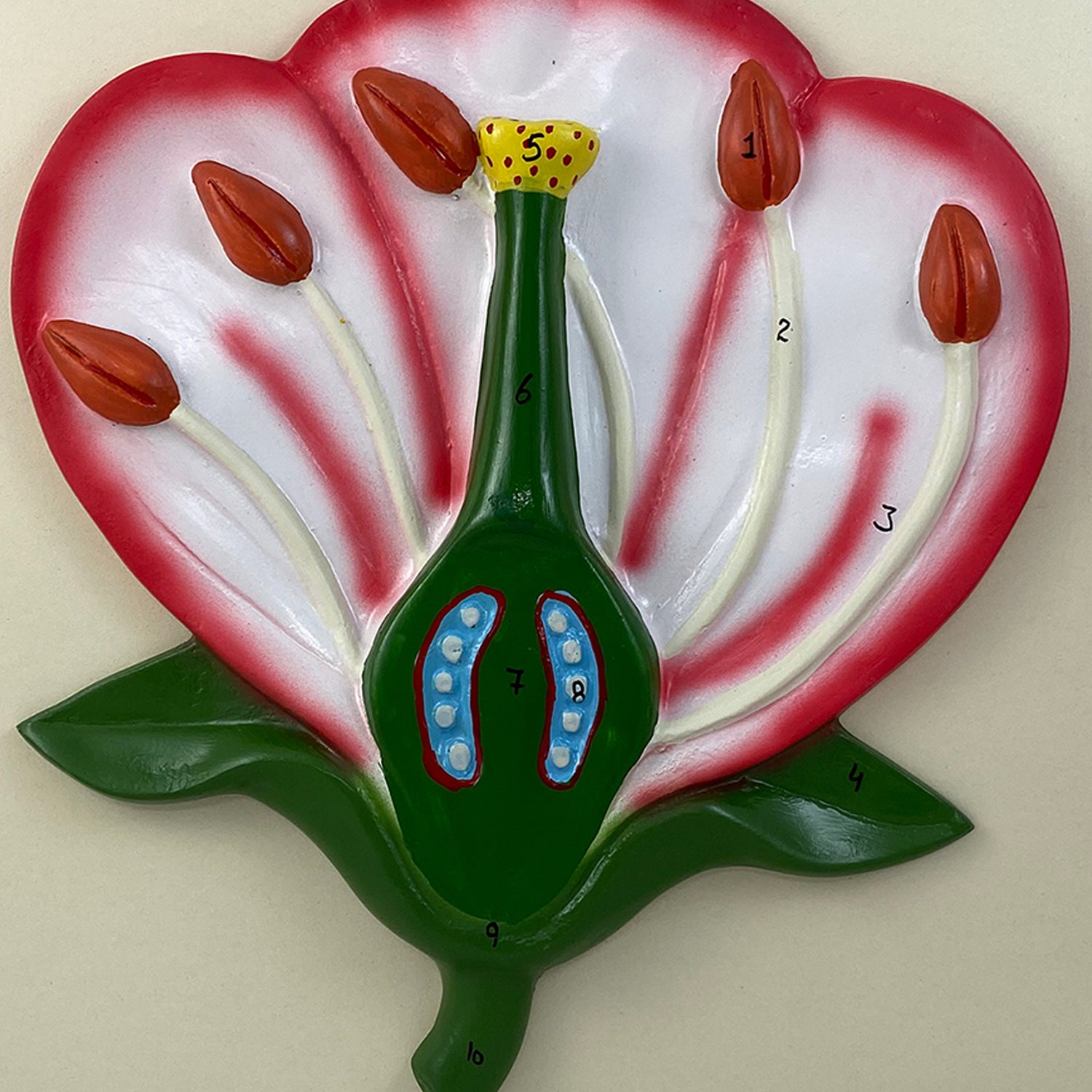 3-D Flower Model