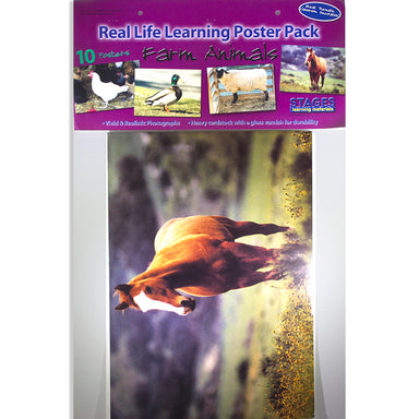 Farm Animal Real Life Learning Poster Set, Set of 10 - A1 School Supplies