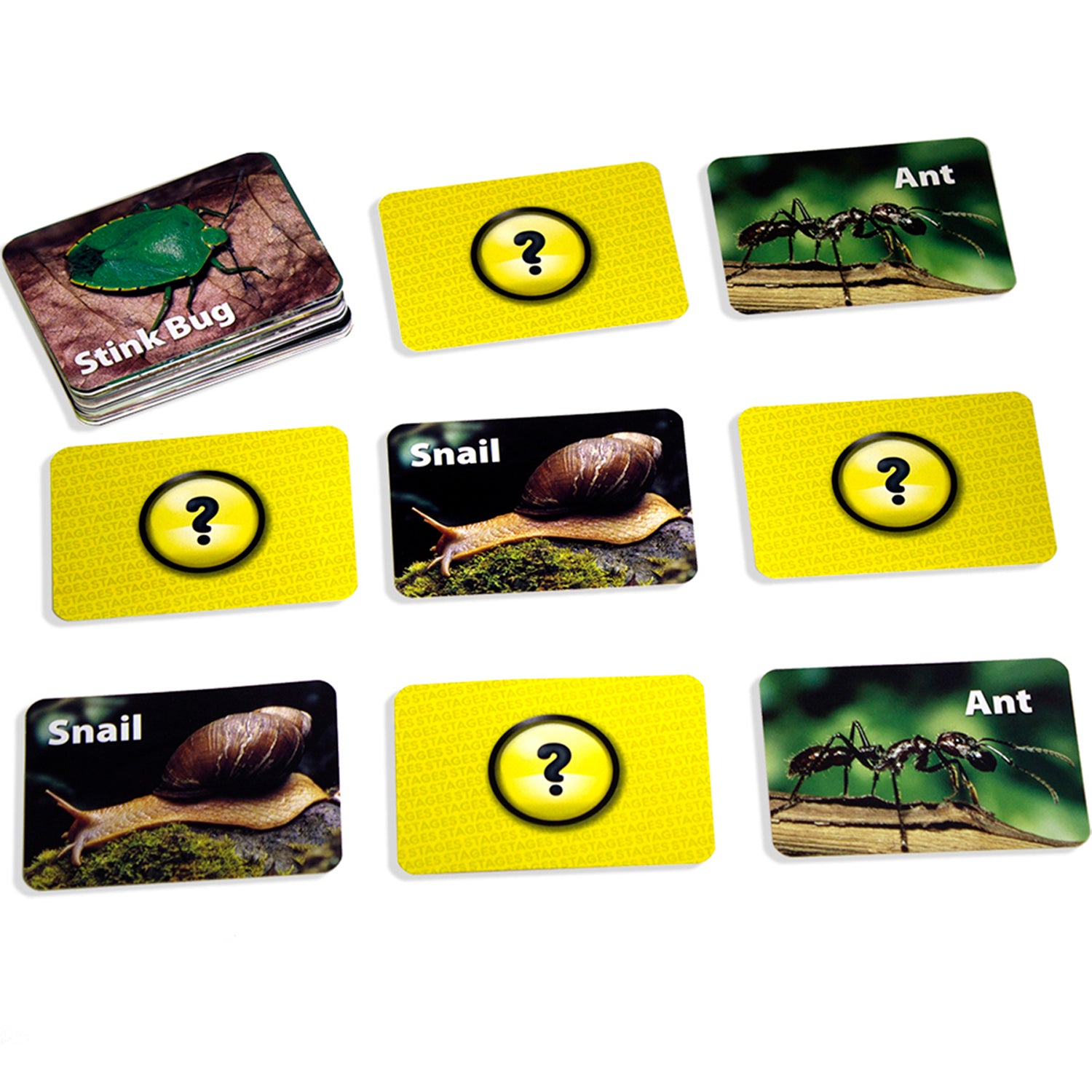 Photographic Memory Matching Game, Insects & Bugs, Pack of 3