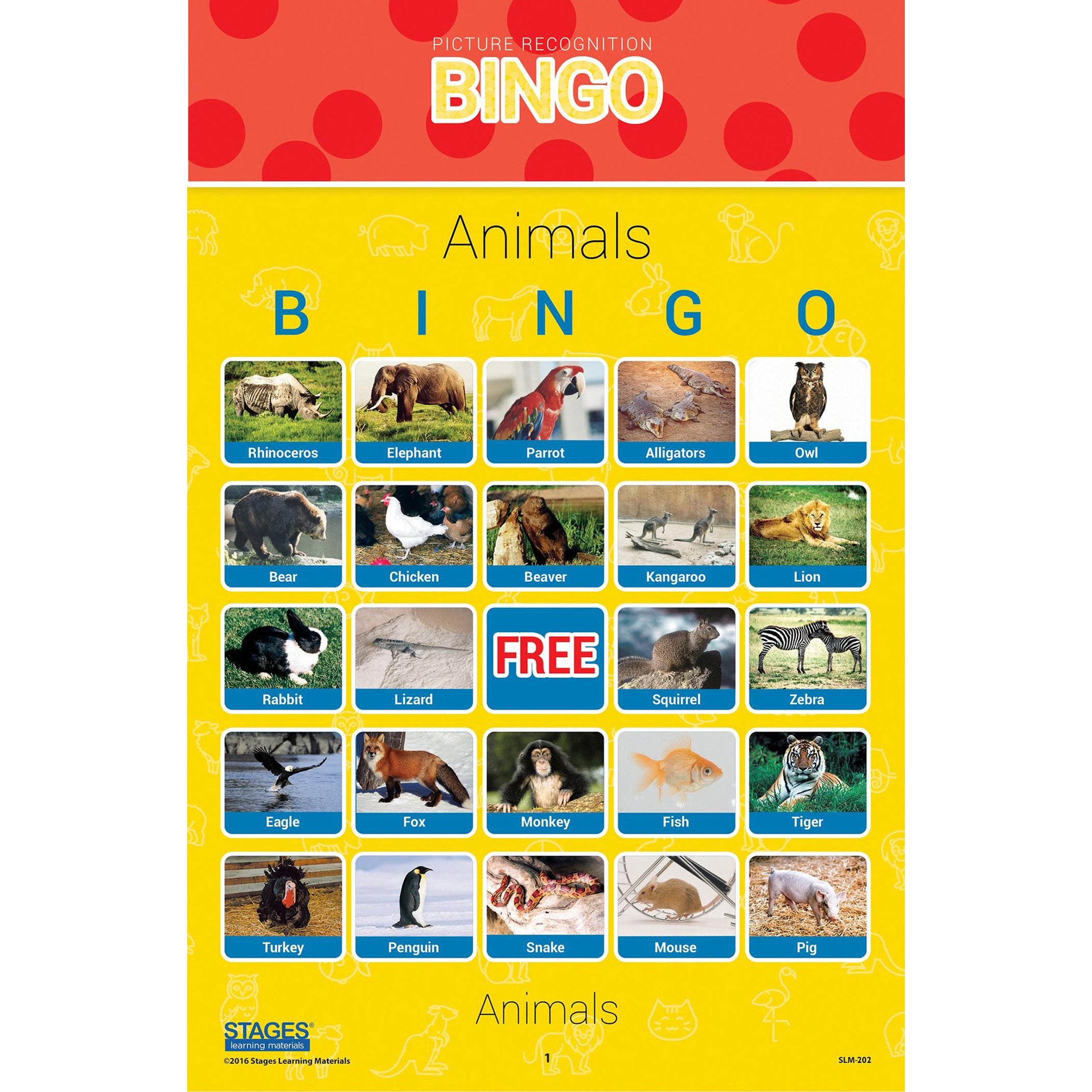 Picture Recognition Bingo Games, Set of all 5 - A1 School Supplies