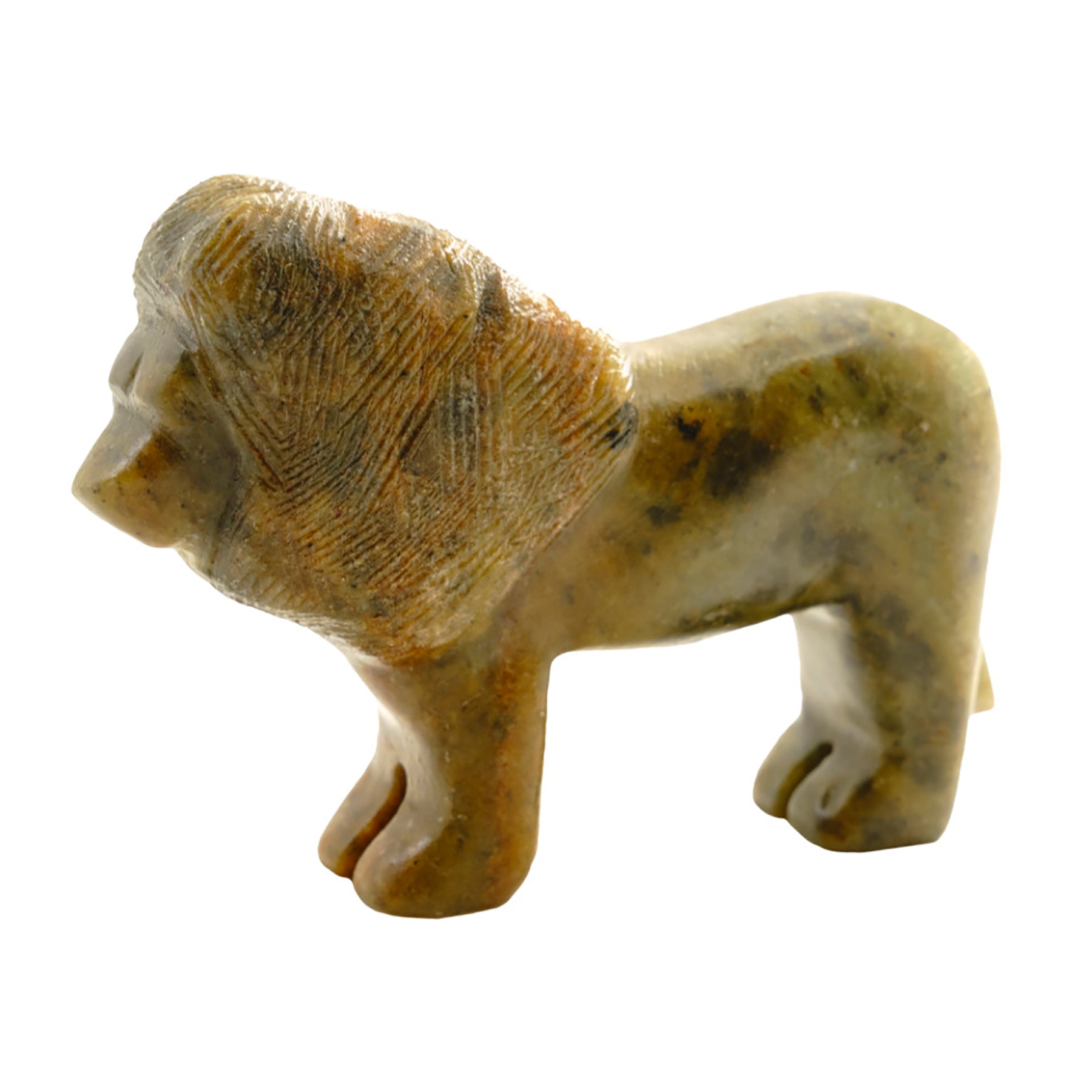 Lion Soapstone Carving Kit