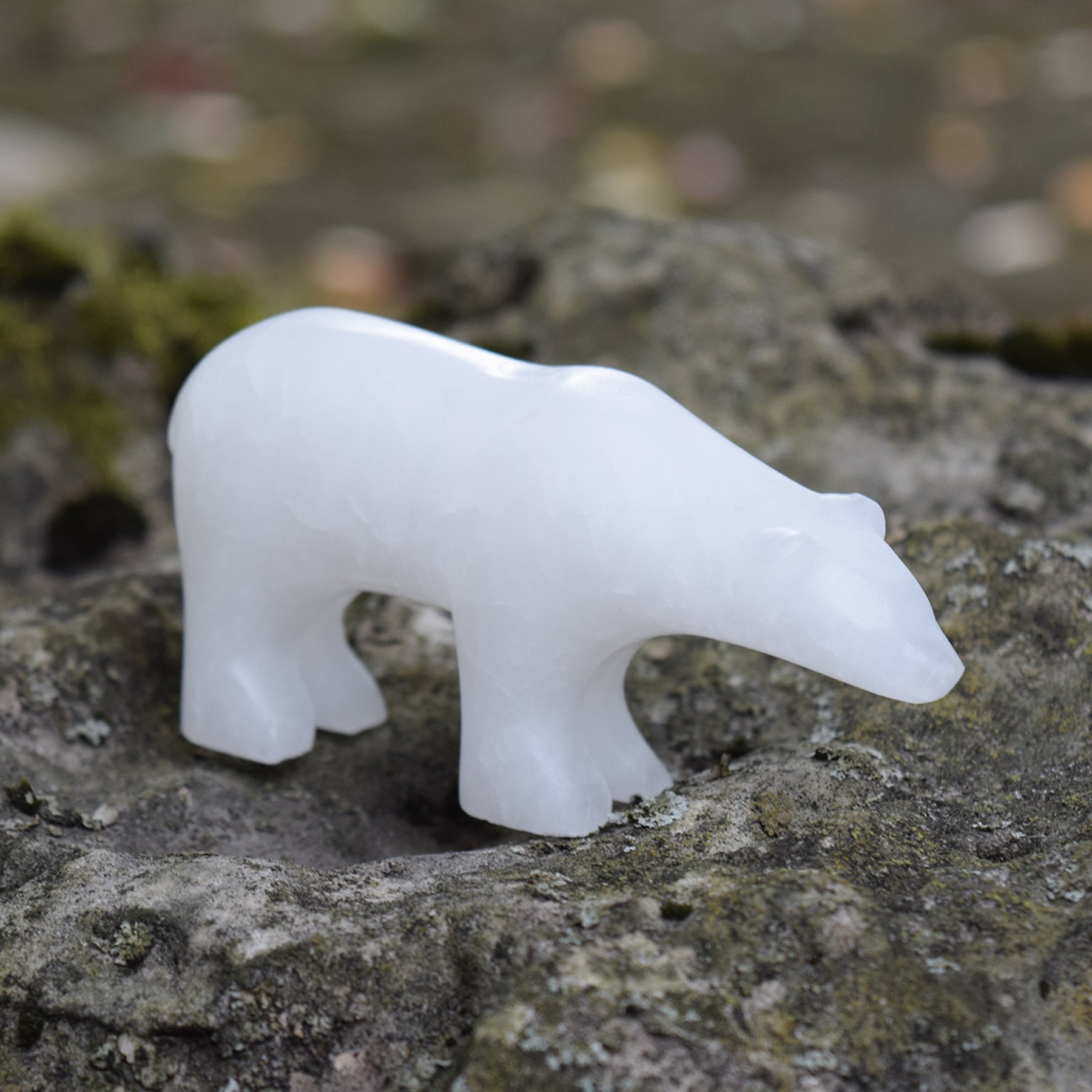 Polar Bear Alabaster Carving Kit