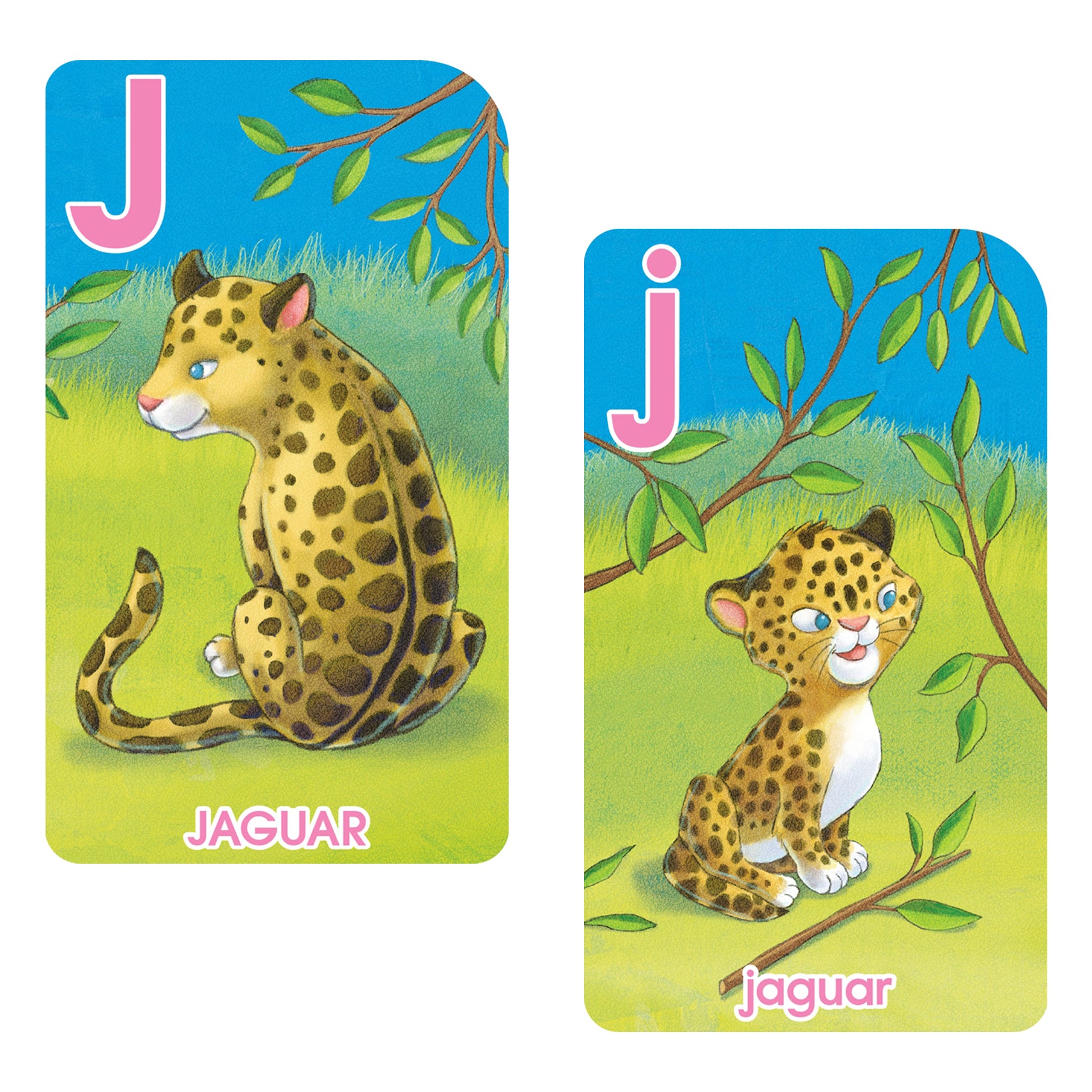 Go Fish Alphabet Game Cards, 6 Sets