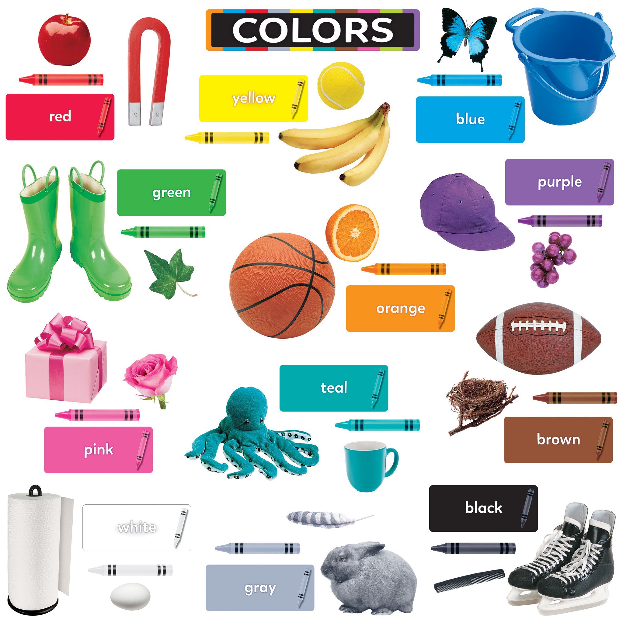 Colors All Around Us Learning Set