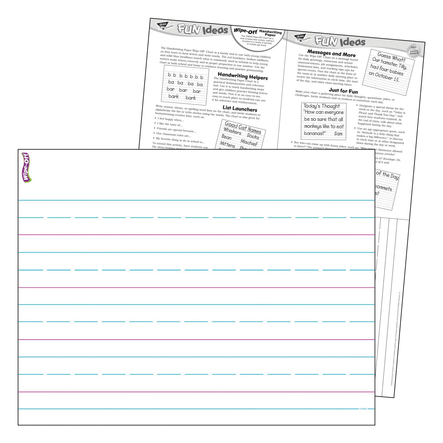 Handwriting Paper Wipe-Off® Chart, 17" x 22", Pack of 6