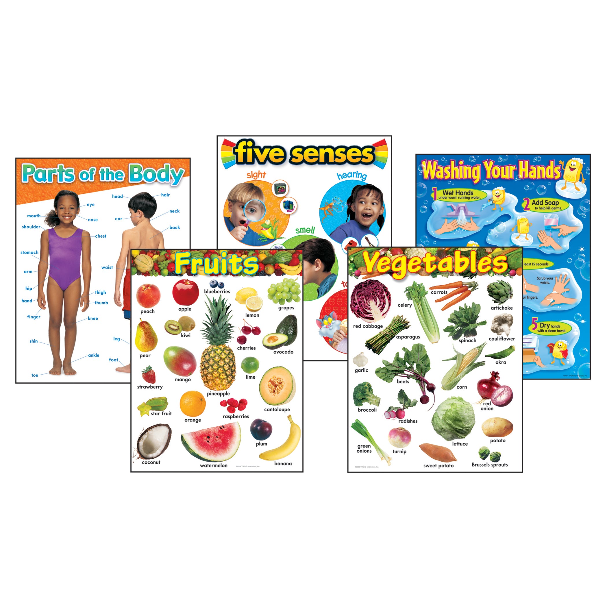 Healthy Living Learning Charts Combo Pack, Set of 5