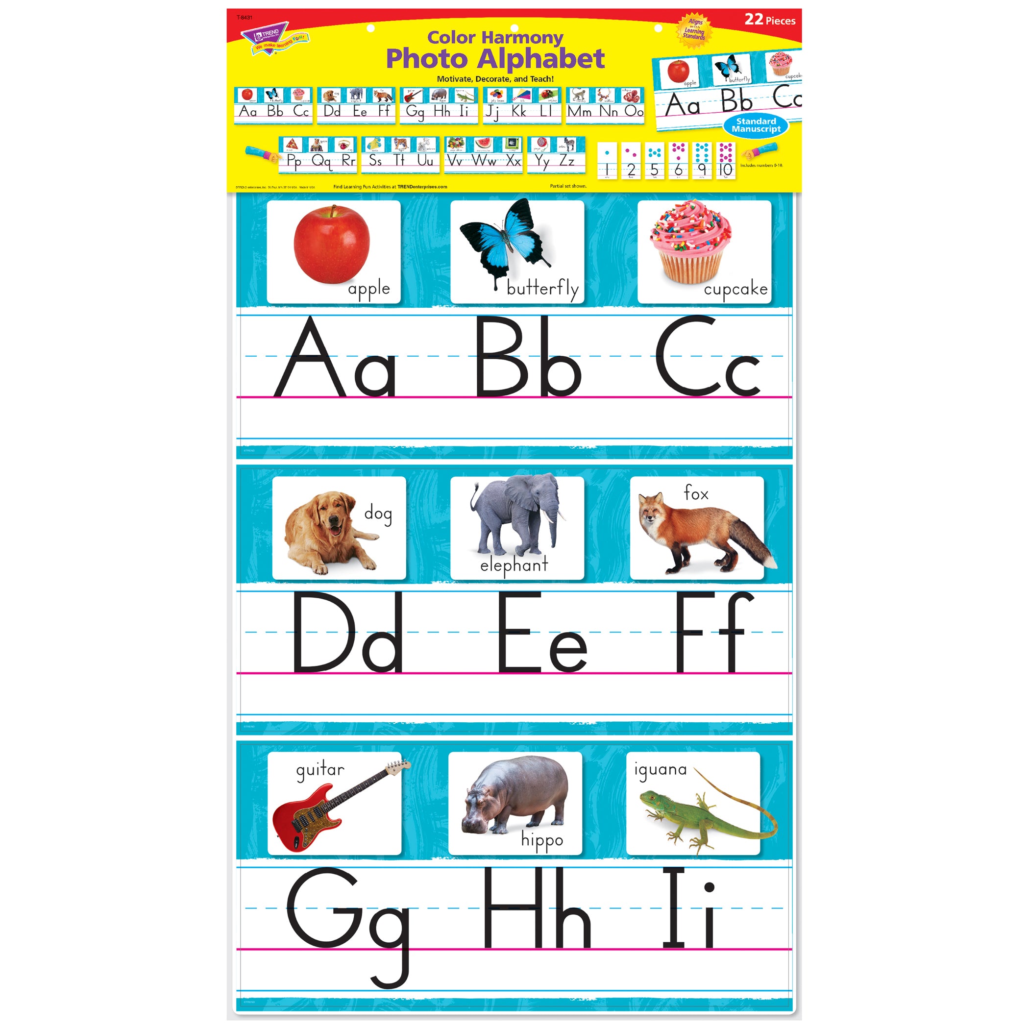 Color Harmony Photo Alphabet Bulletin Board Set