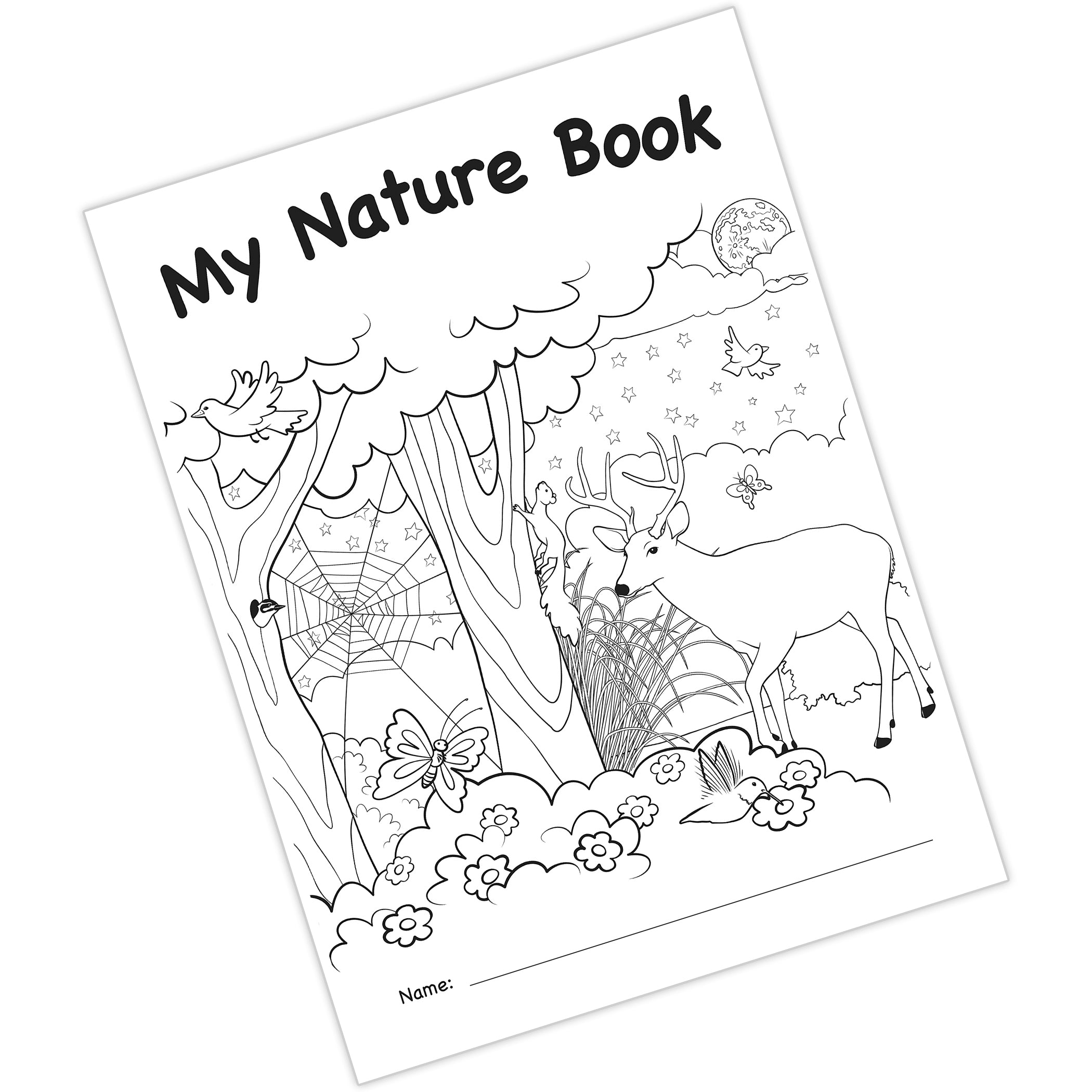 My Own Books: My Own Nature Book, 10 Pack