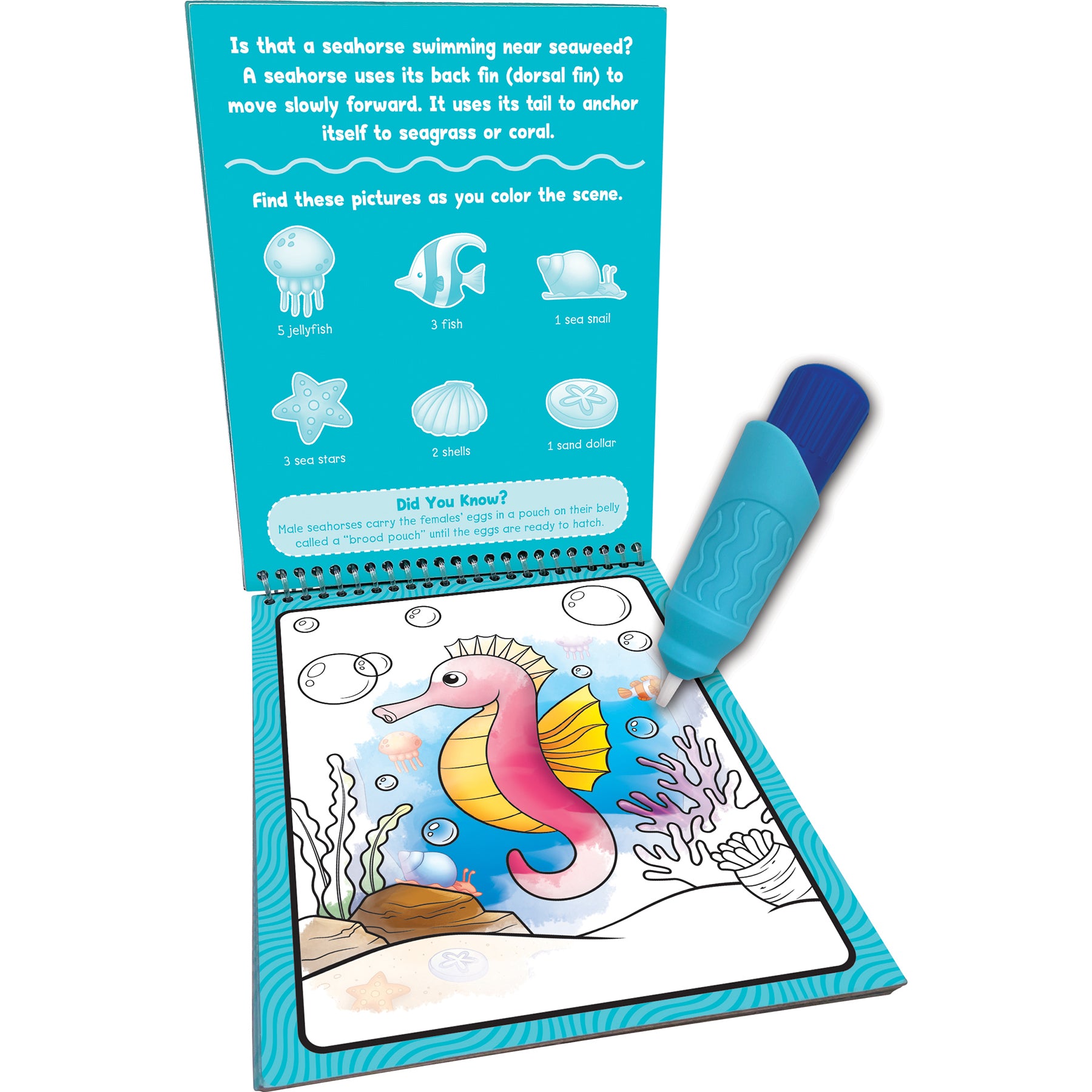 Ocean Life Water Reveal Book, 6 Sets