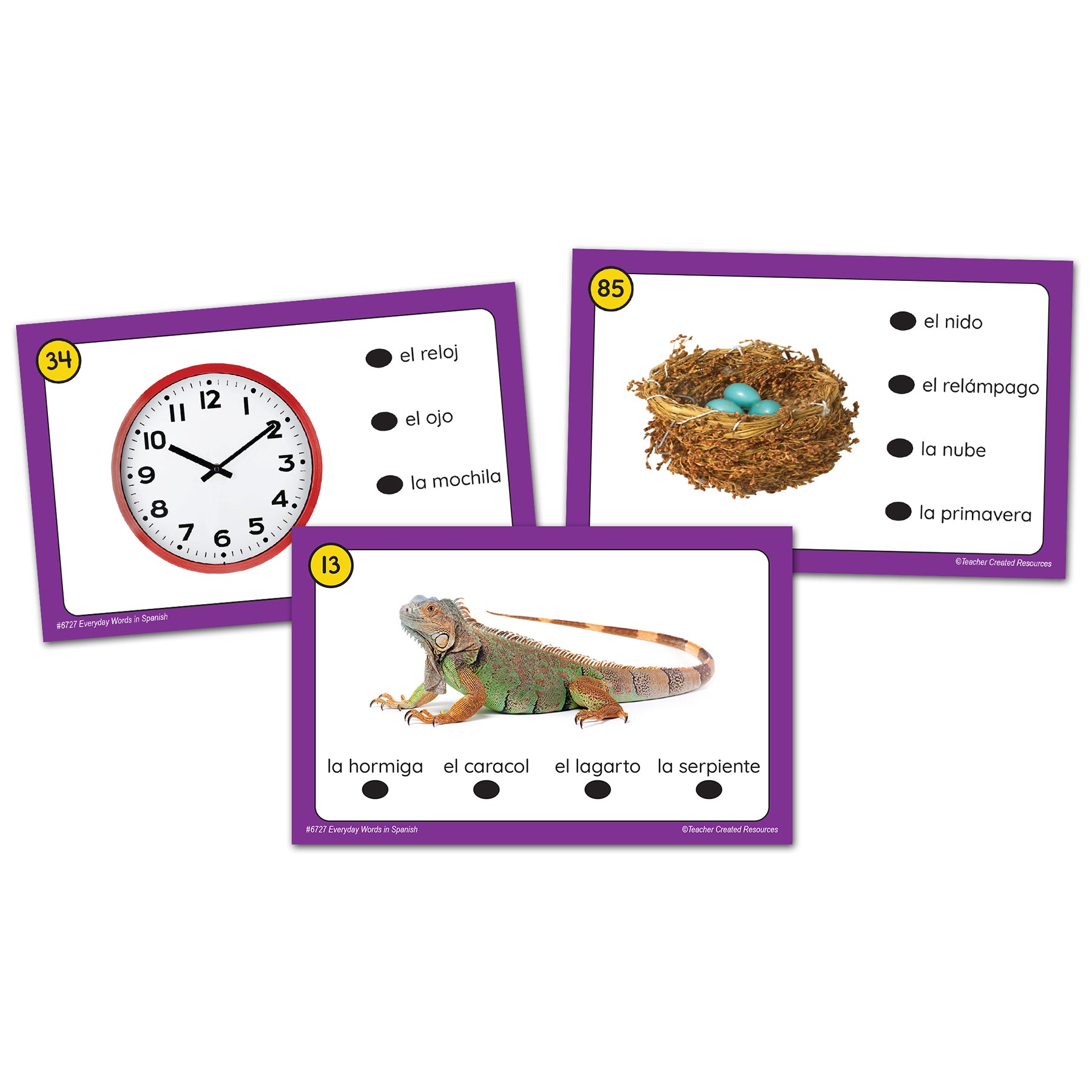 Power Pen® Learning Cards: Everyday Words in Spanish