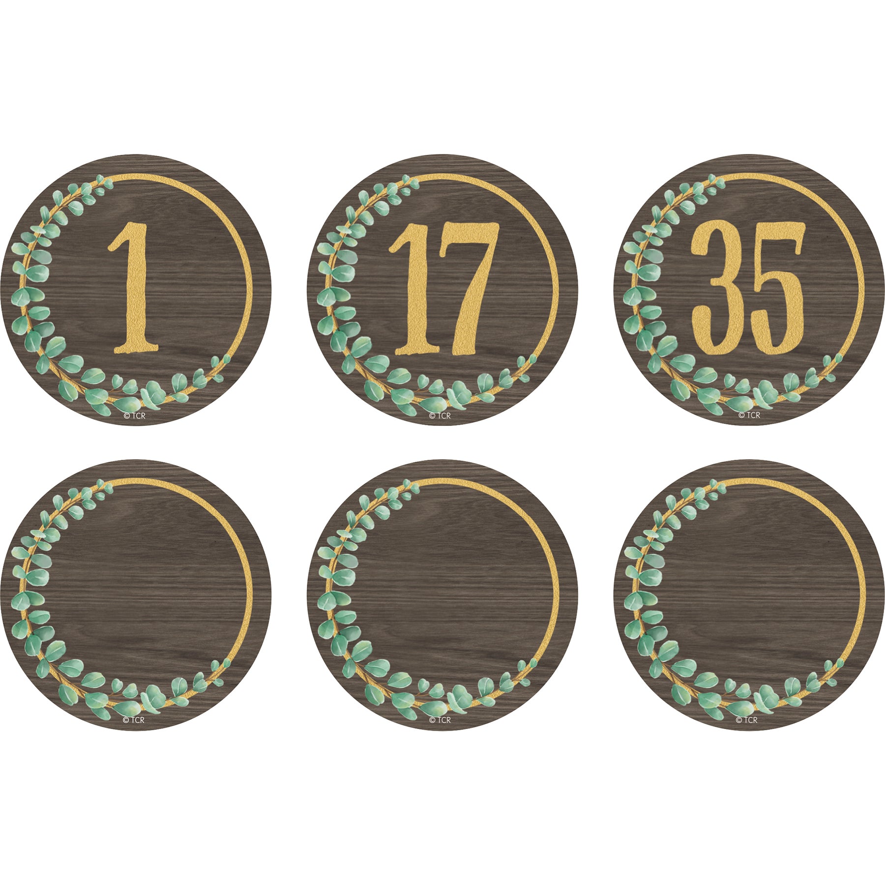 Eucalyptus Numbers Magnetic Accents, 2-1/4", 42 Per Pack, 3 Packs