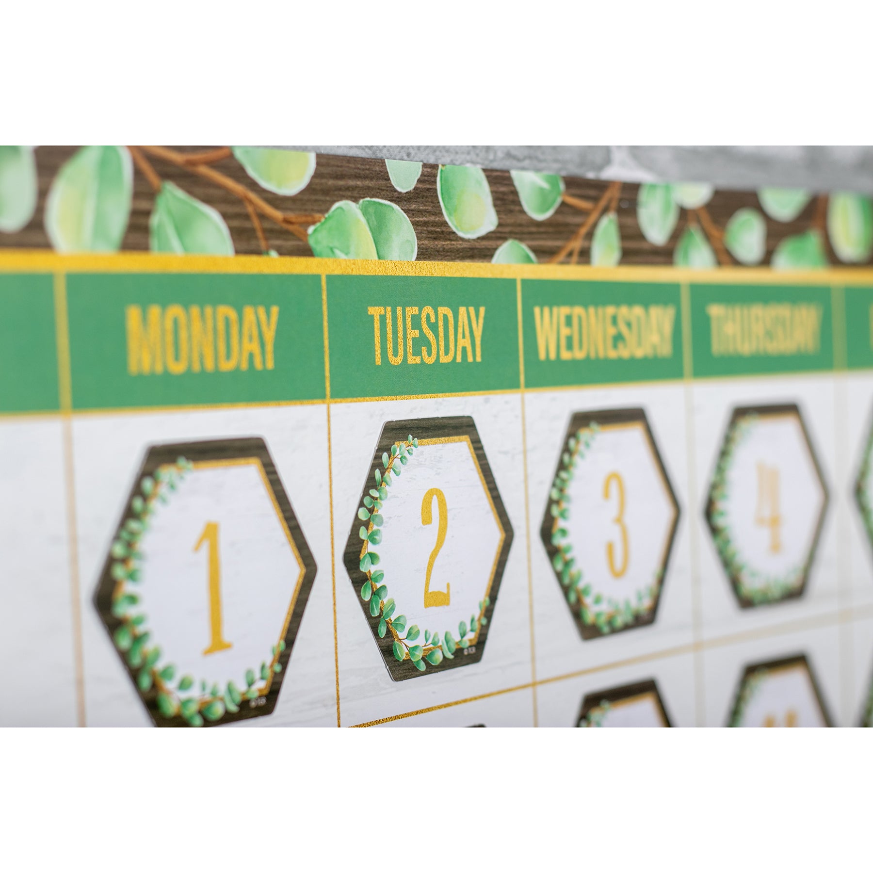 Eucalyptus Calendar Bulletin Board Set