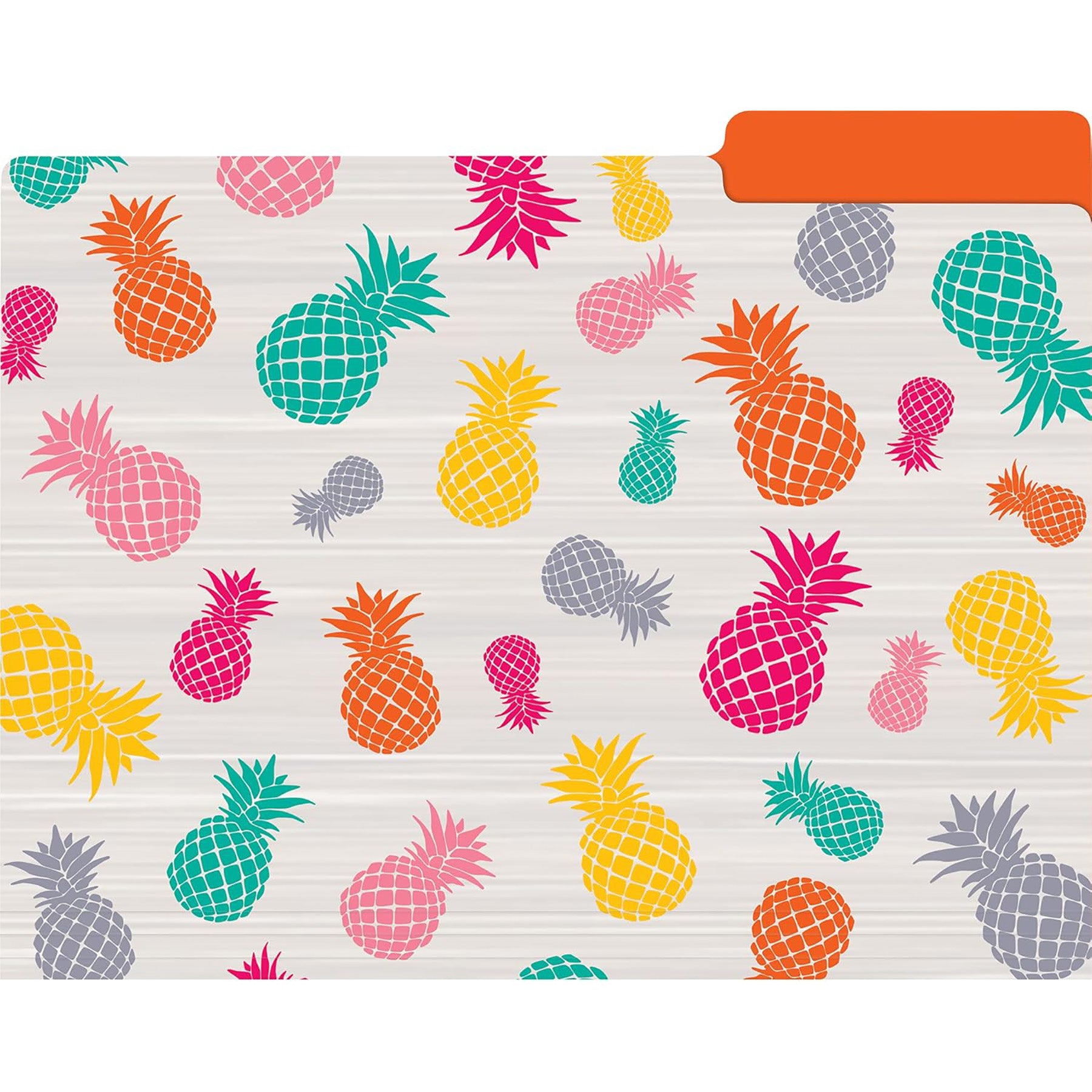 Tropical Punch File Folders, Letter Size, 12 Per Pack, 2 Packs