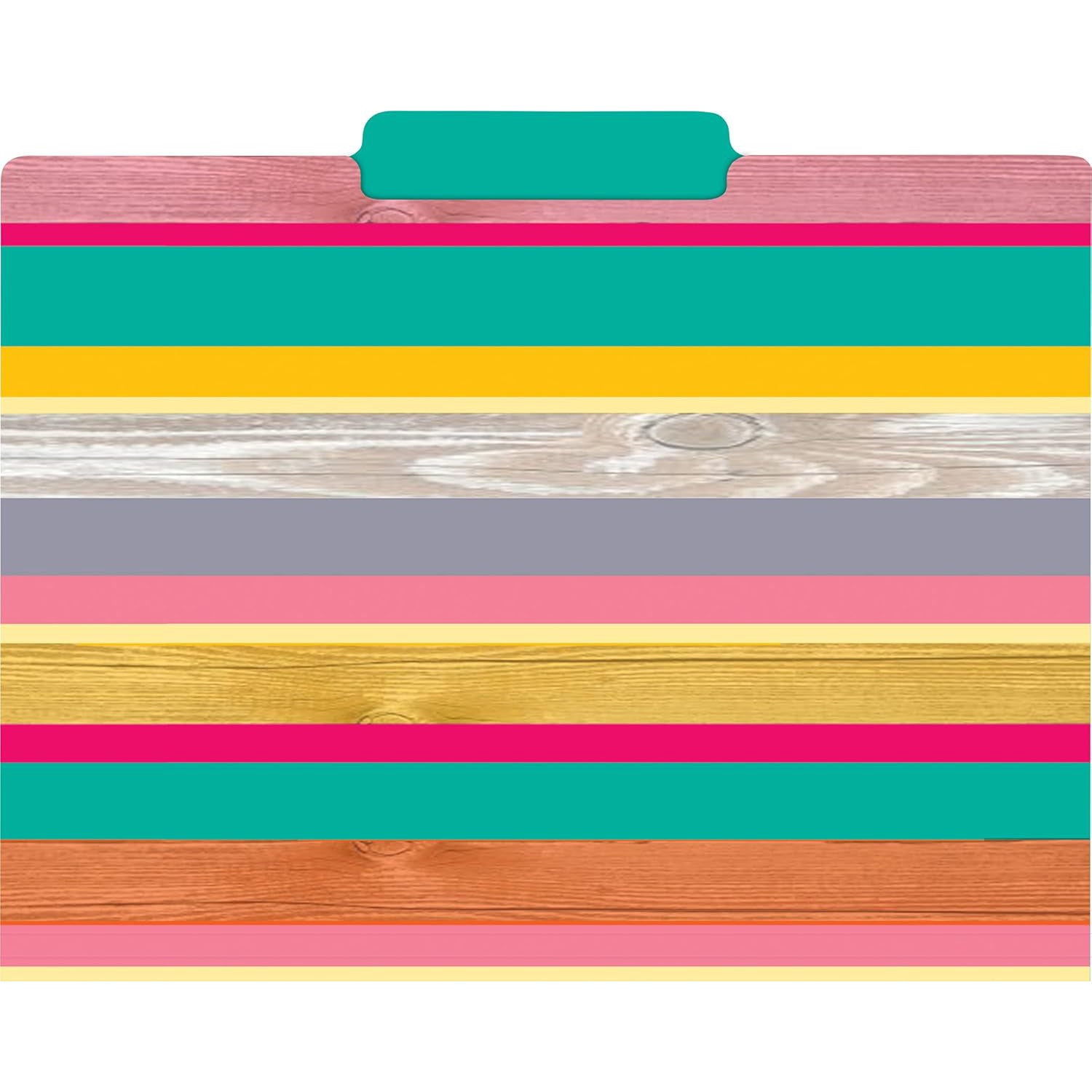 Tropical Punch File Folders, Letter Size, 12 Per Pack, 2 Packs