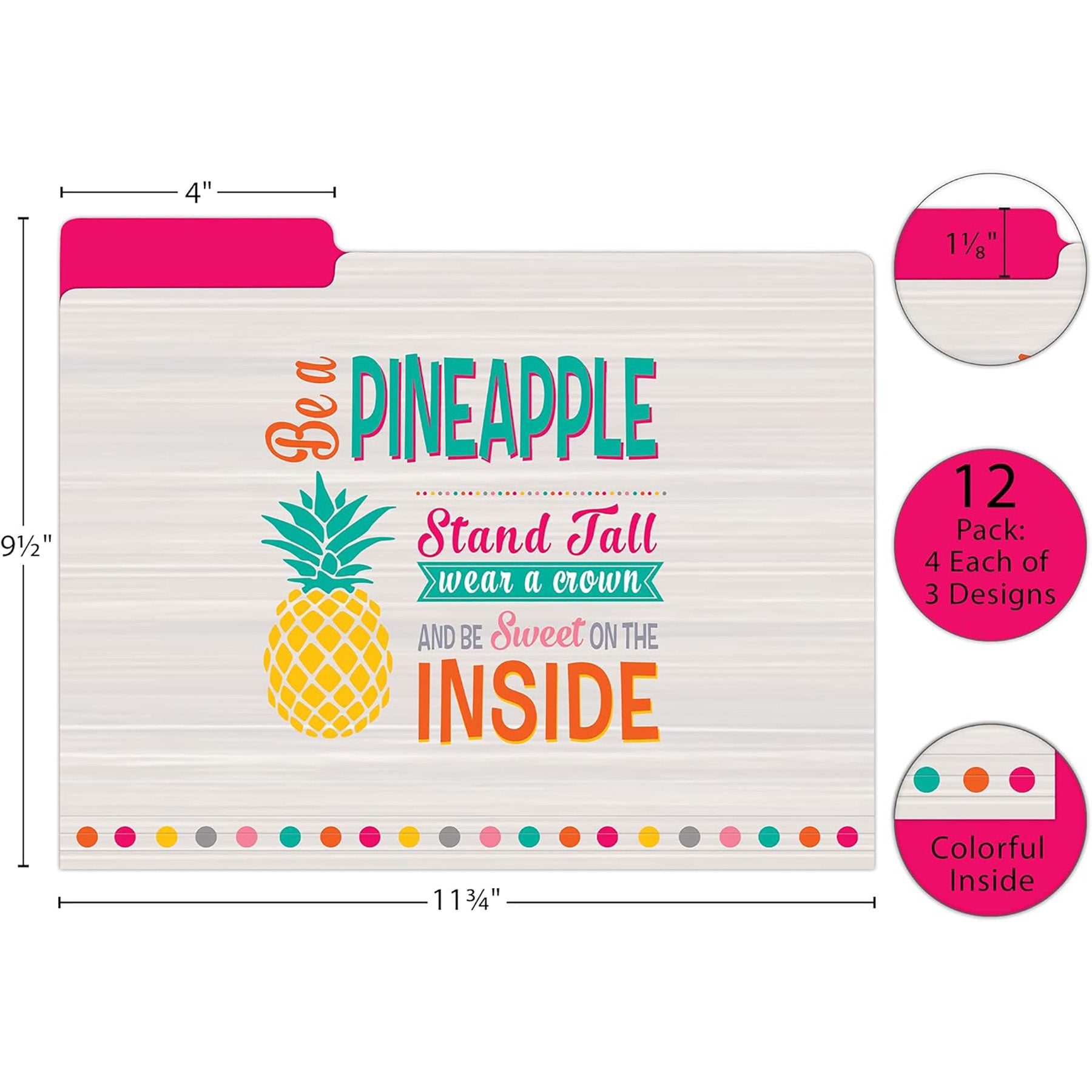 Tropical Punch File Folders, Letter Size, 12 Per Pack, 2 Packs