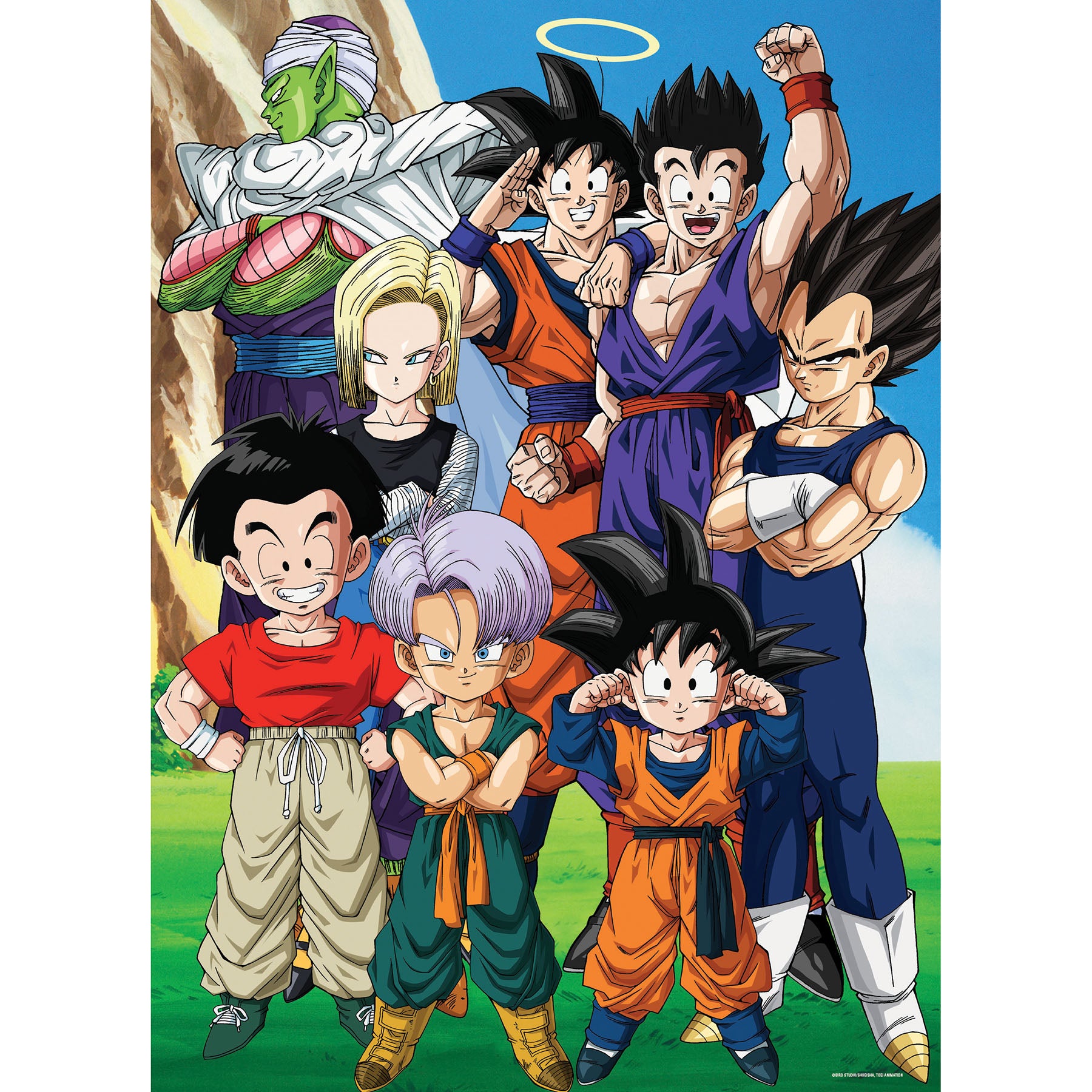 DRAGON BALL Z Z FIGHTERS Puzzle, 19" x 27", 1000 Pieces