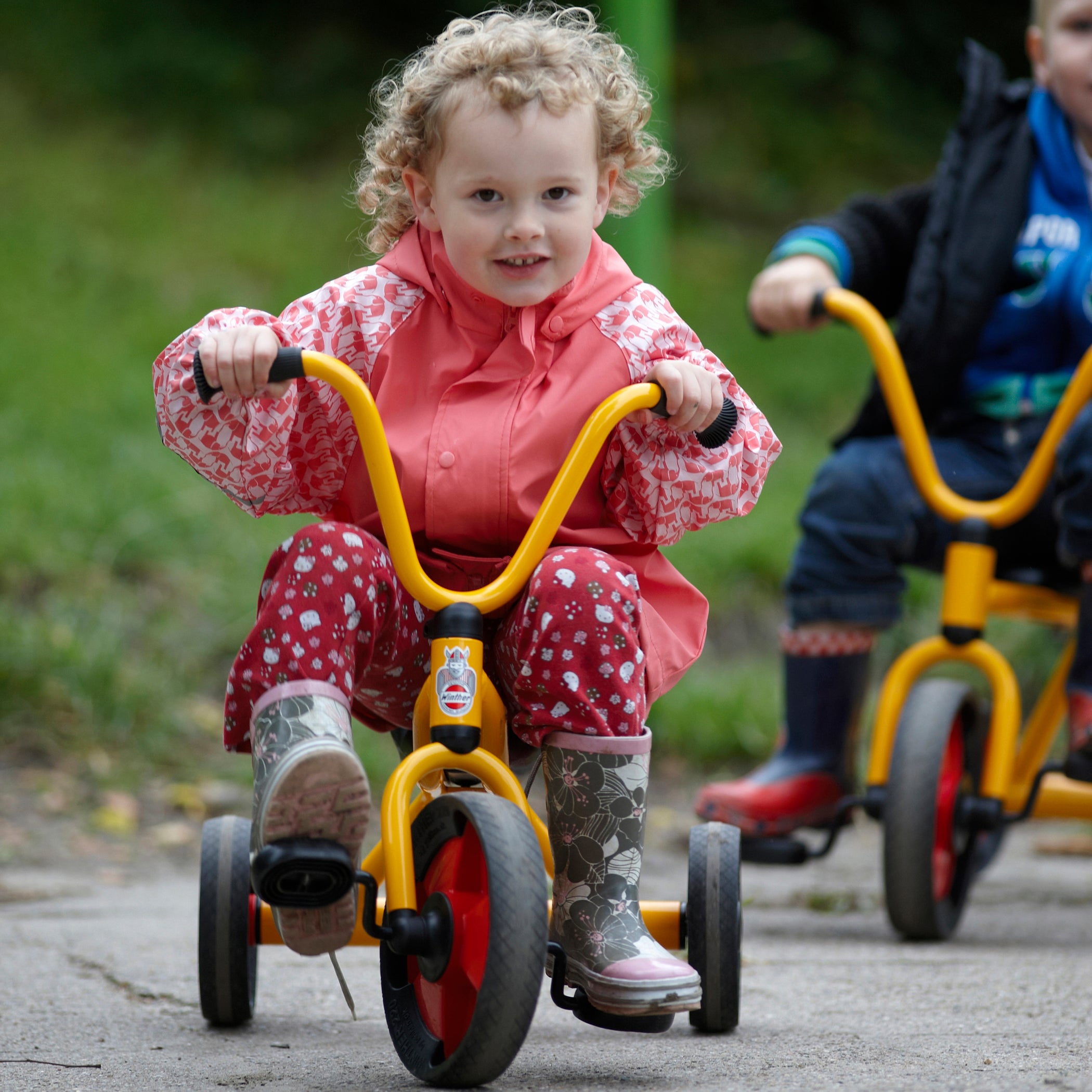 Toddler Trike