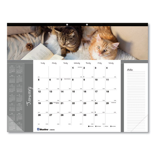 Pets Collection Monthly Desk Pad, Furry Kittens Photography, 22 X 17, White Sheets, Black Binding, 12-month (jan-dec): 2024