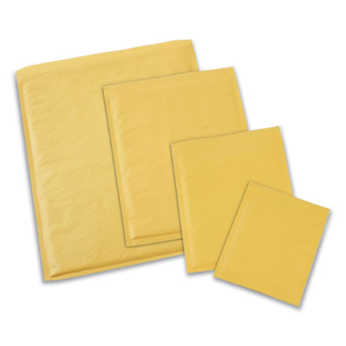 Peel Seal Strip Cushioned Mailer, #4, Extension Flap, Self-adhesive Closure, 9.5 X 14.5, 25/carton