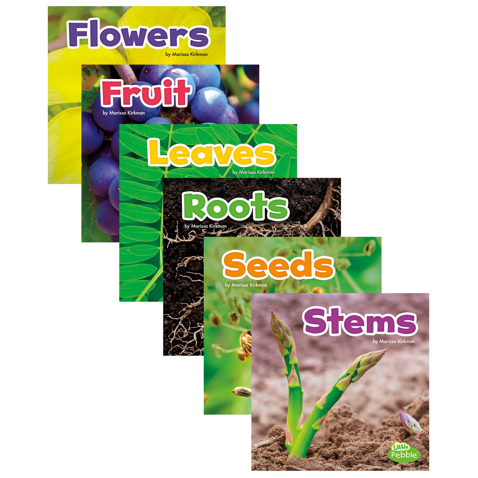 Plant Parts, Set of 6 books