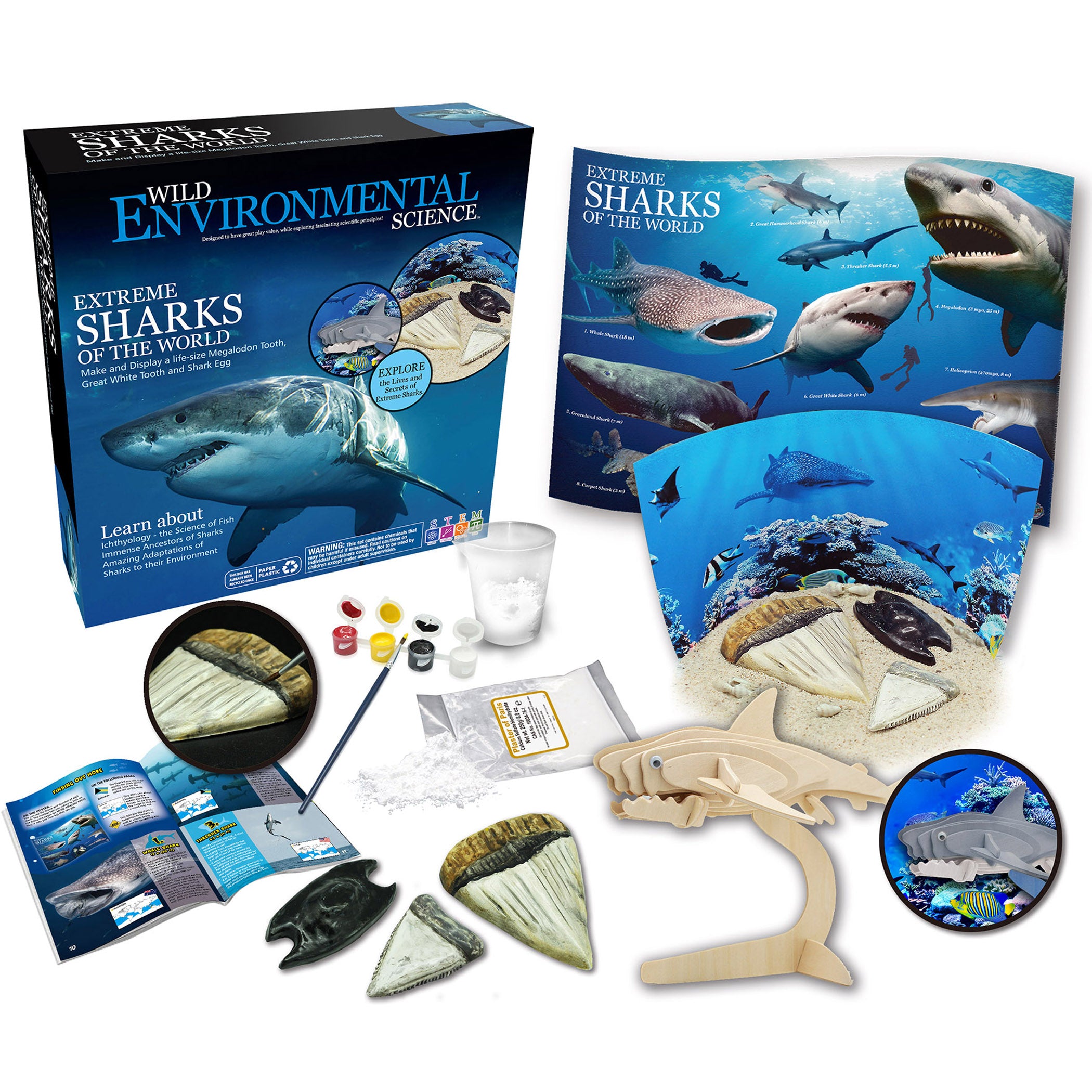 Extreme Sharks of the World - For Ages 6+ - Create and Customize Models and Dioramas - Study the Most Extreme Animals - A1 School Supplies