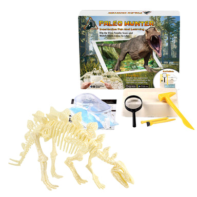 Paleo Hunter™ Dig Kit for STEAM Education - Stegosaurus - A1 School Supplies