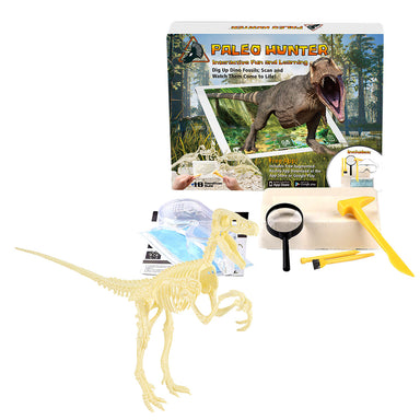 Paleo Hunter™ Dig Kit for STEAM Education - Velociraptor Rex - A1 School Supplies