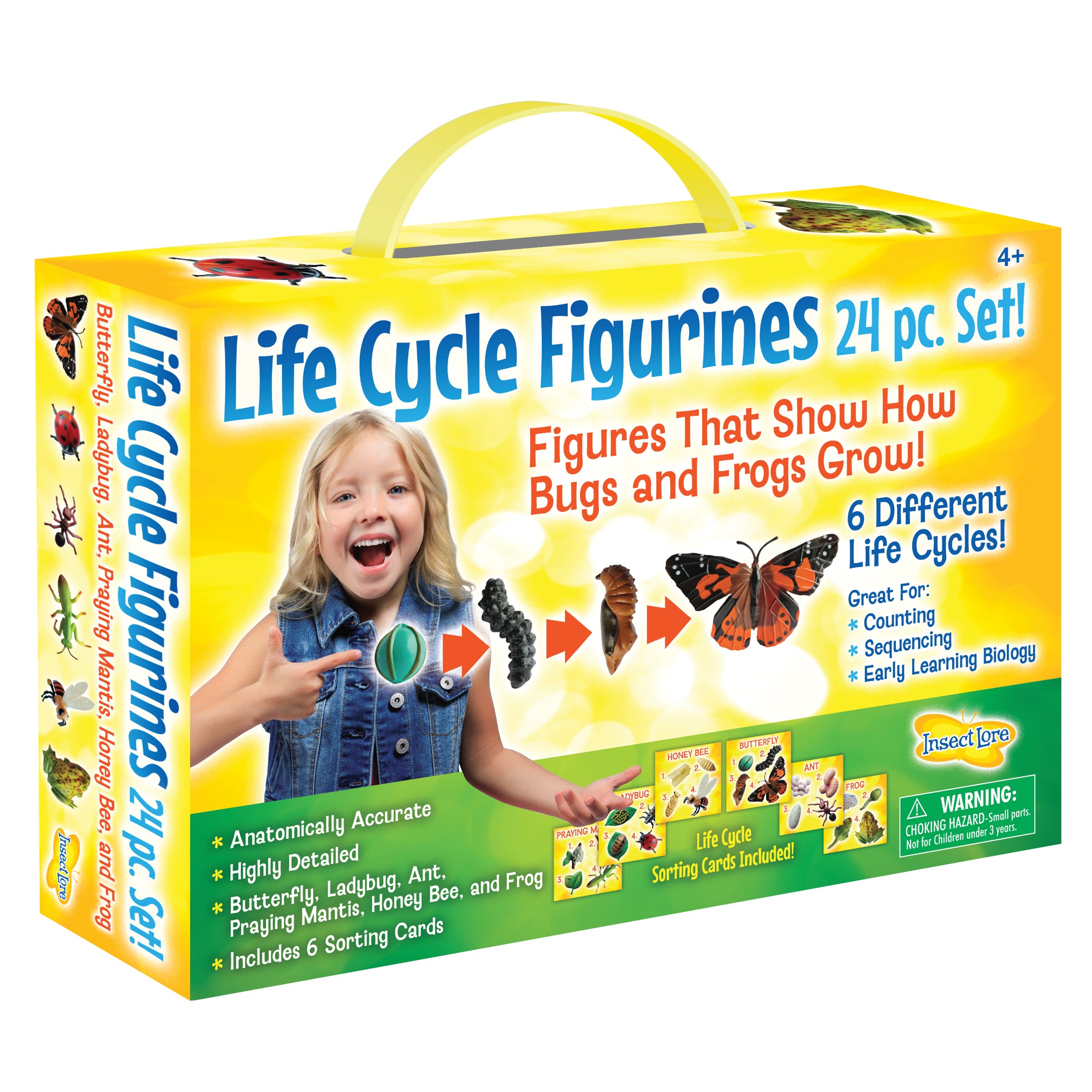 Life Cycle Figurines Set, 24 Pieces - A1 School Supplies