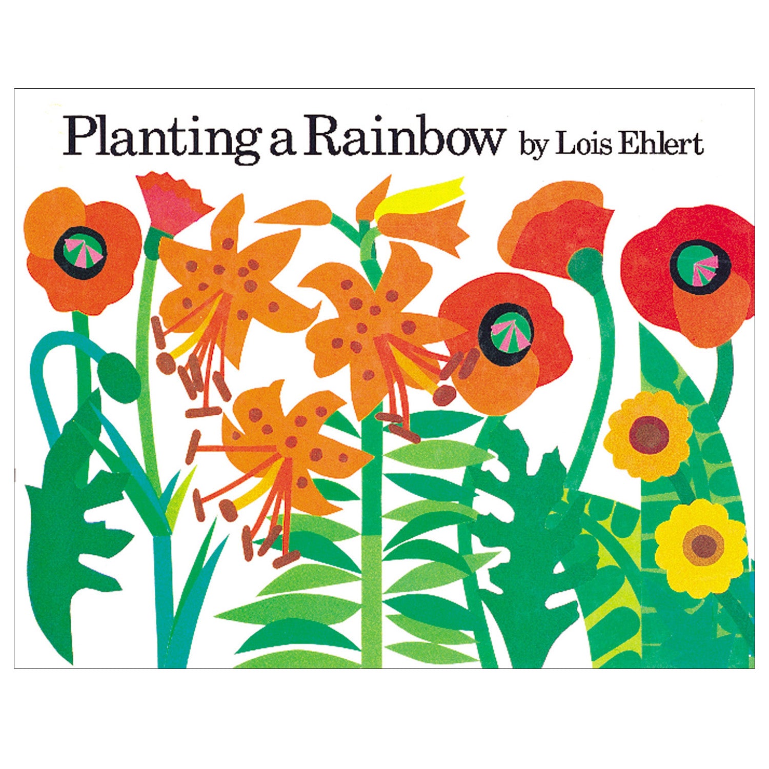 Planting a Rainbow Big Book - A1 School Supplies