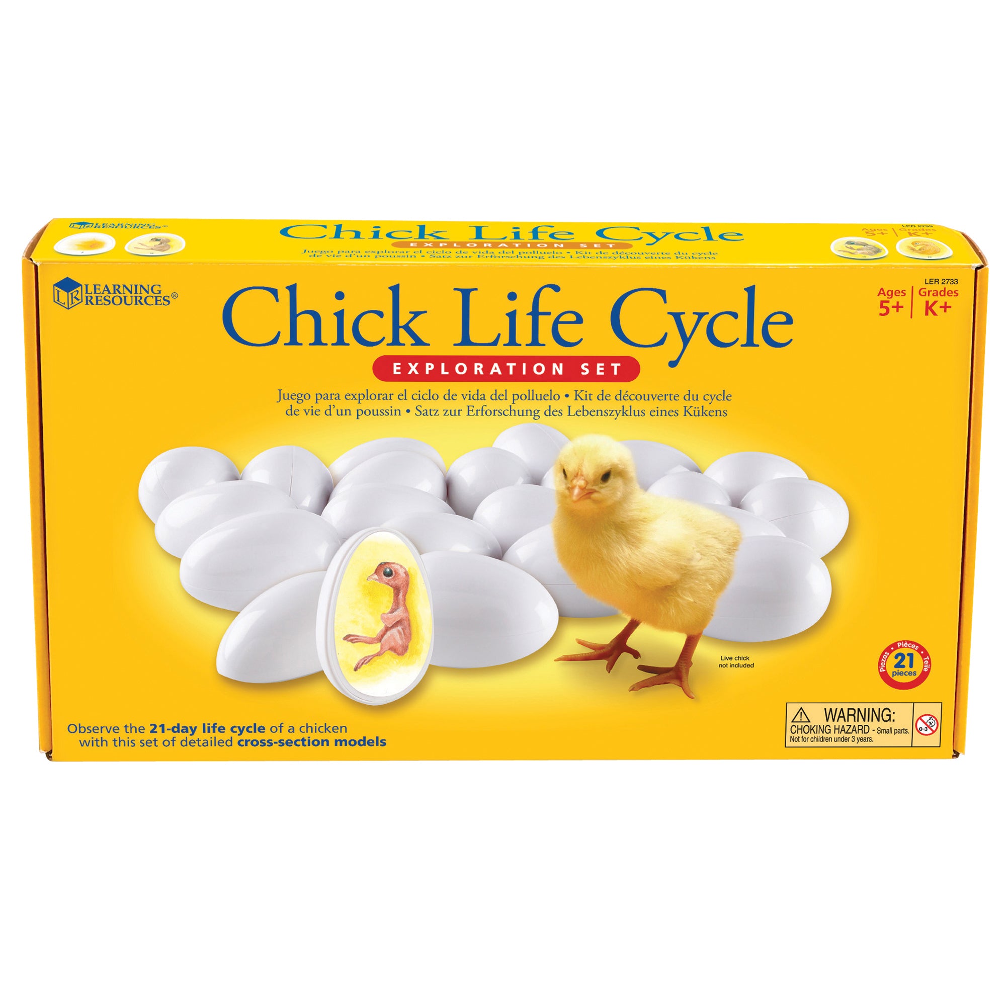 Chick Life Cycle Exploration Set - A1 School Supplies