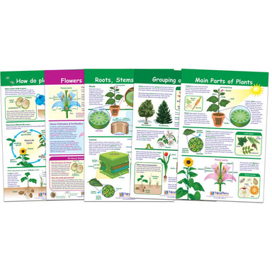 All About Plants Bulletin Board Charts, Set of 5 - A1 School Supplies