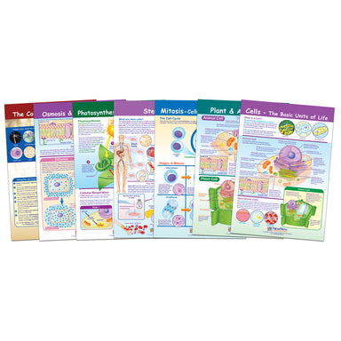 Cells Bulletin Board Chart Set, Grades 3-5 - A1 School Supplies