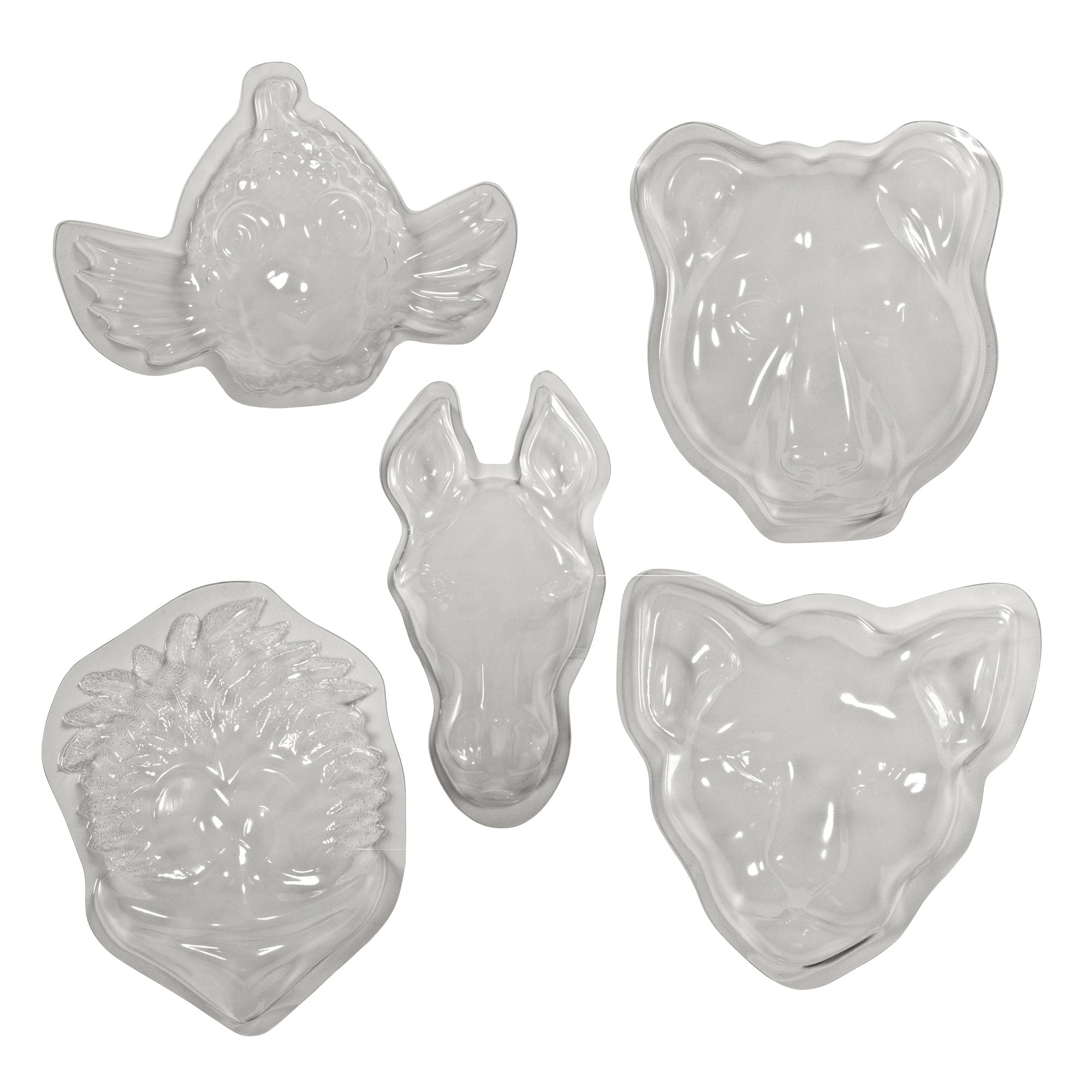 Animal Face Forms, Pack of 5 - A1 School Supplies