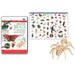 Wonders of Learning Tin Set, Discover Bugs - A1 School Supplies