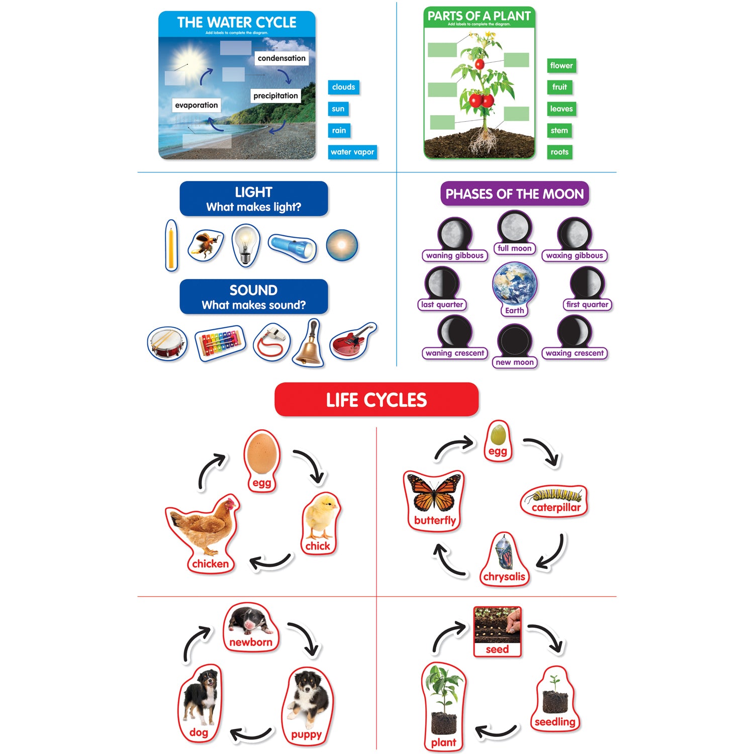 Early Science Concepts Bulletin Board Set - A1 School Supplies