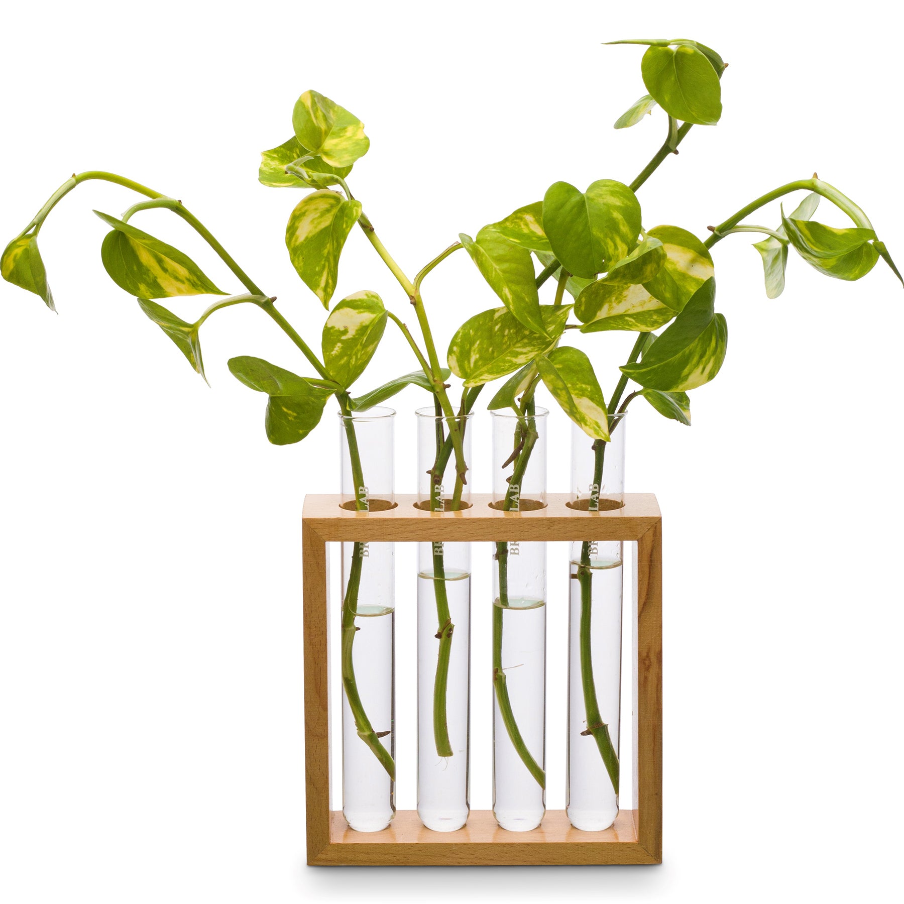 Square Plant Holder