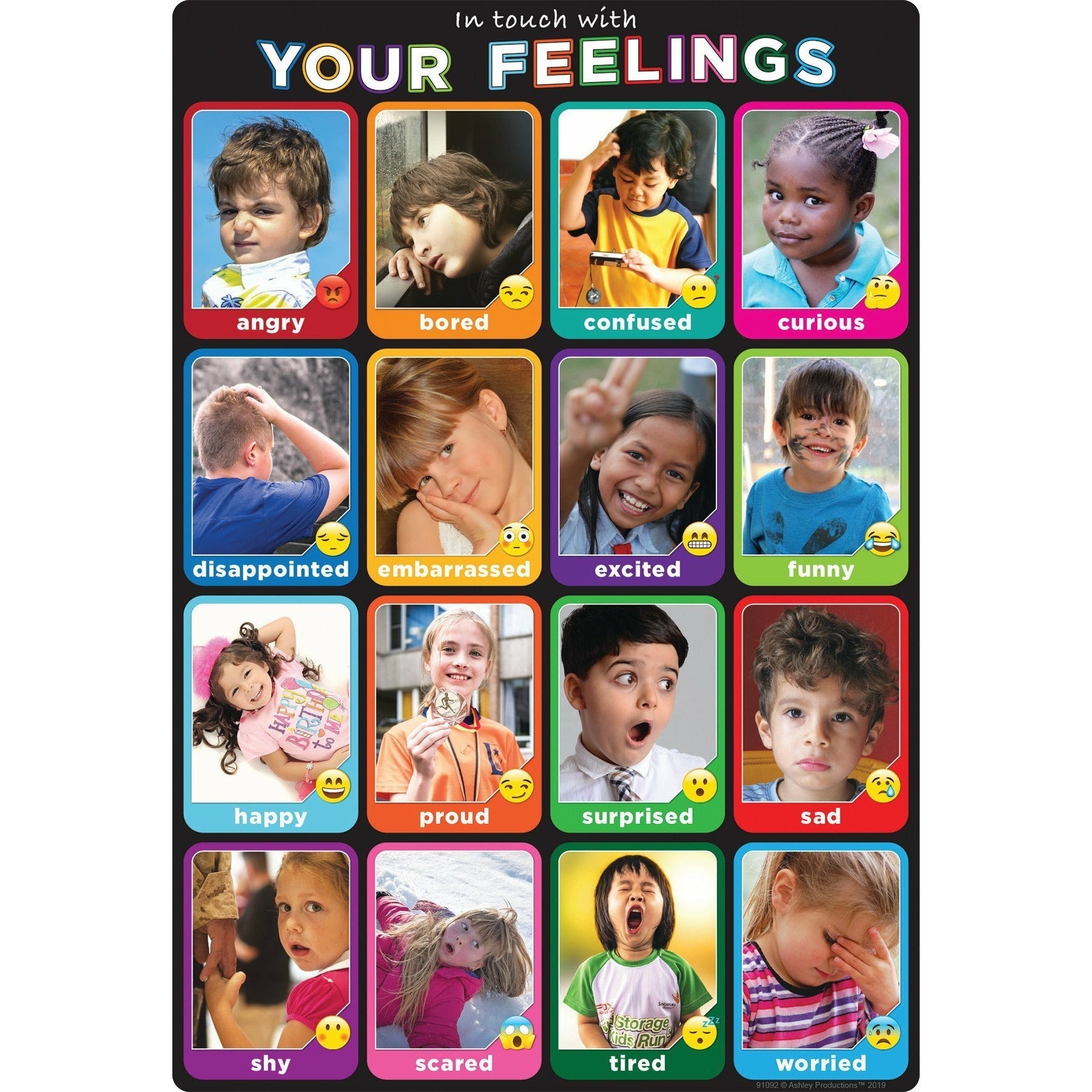 Emotions Photographs 13" x 19" Smart Poly® Chart